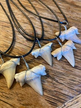 Shark Tooth Pendant Necklace - Natural Cream Teeth on Black Cord